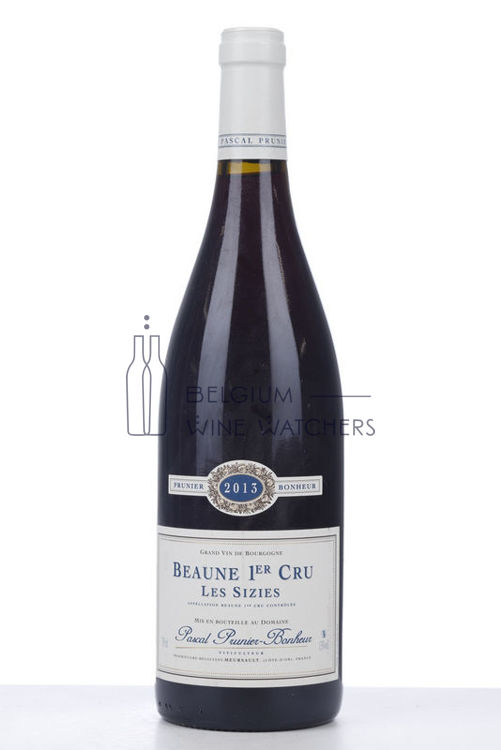 Picture of 2013 BEAUNE LES SIZIES